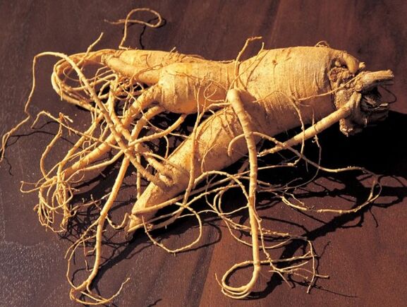 Raiz de ginseng