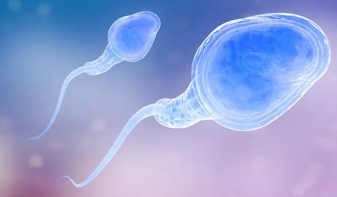 Os espermatozoides podem estar presentes na pré-ejaculação de um homem
